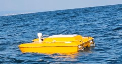 Fish Detection Detail 1