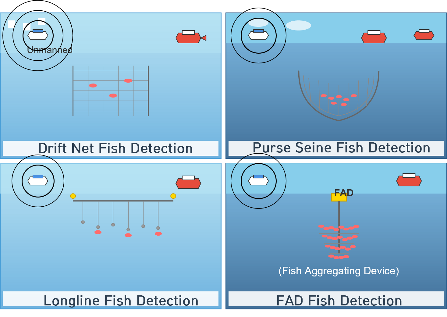 Fish Detection Detail 2